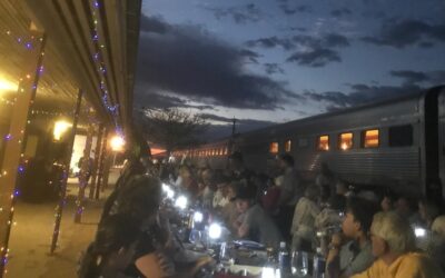 Part 35: Life on the Indian Pacific