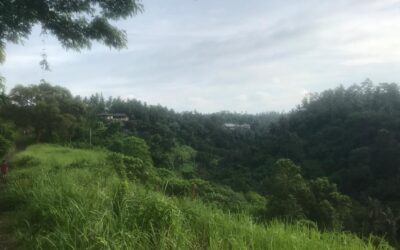 Part 37: Ubud and the case of the missing case.